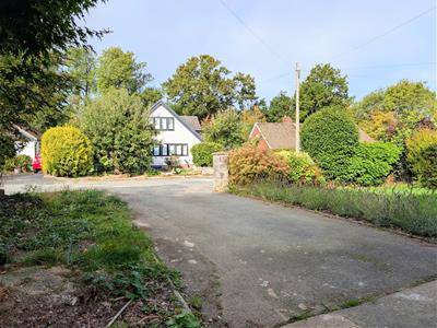 Picture 21